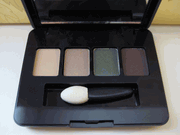 Estee Lauder Pure Color Eyeshadow Quad in Sandbar Beige, Sepia Sand, Ivy Envy and Lavish Mink  - Discontinued Colors
