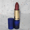 Estee Lauder Pure Color Long Last Lipstick in Hot Kiss #48