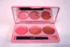 Smashbox Breast Cancer Awareness Pink Power Lip Palette in Inspire