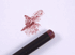 Smashbox Lip Pencil in Smashing Transform - Discontinued