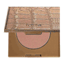 Tarte Amazonian Clay Matte Waterproof Bronzer in Park Ave Princess - Travel Size