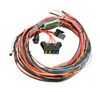 AEM 30-2905-96 EMS-4 96" Wiring Harness With Fuse & Relay Panel