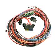 AEM 30-2905-96 EMS-4 96" Wiring Harness With Fuse & Relay Panel