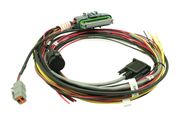 AEM 30-2906-18 AQ-1 18" Flying Lead Wiring Harness