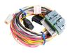 AEM 30-2906-96 AQ-1 96" Flying Lead Wiring Harness