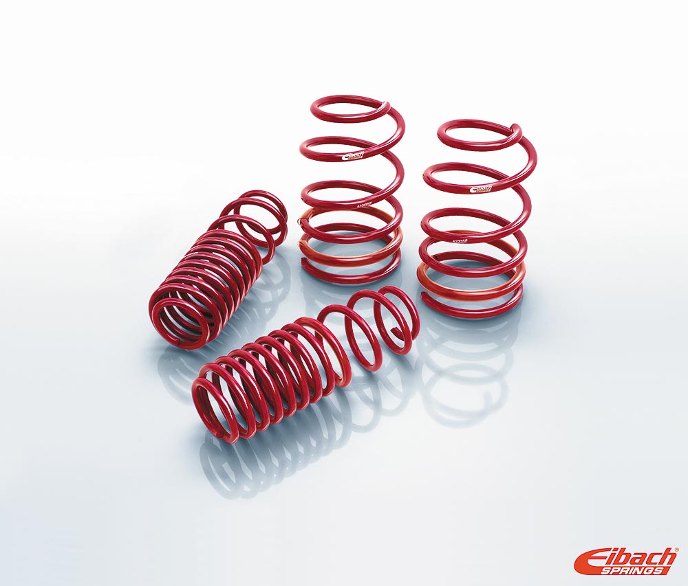 Eibach アイバッハ ローダウンサスペンションキット ERS 直巻き