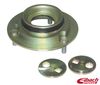 Eibach 5.81320K Pro-Alignment Camber/Caster Kit Ford