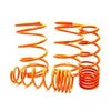 Megan Racing MR-LS-NS01 Lowering Springs 01-03 Nissan Sentra Megan Racing MR-LS-NS01 Lowering Springs 01-03 Nissan Sentra