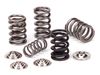 SuperTech SPRK-TS1015/2 90-96 Nissan 300ZX VG30D Spring Kit