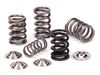 SuperTech SPRK-TS1015/RB26 Nissan Skyline GT-R RB26DETT Spring Kit