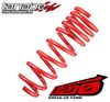 TANABE TDF120 Lowering Springs Nissan Maxima TANABE TDF120 Lowering Springs Nissan Maxima