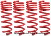 Tanabe TNF074 Lowering Spring 02-03 Acura TL Tanabe TNF074 Lowering Spring 02-03 Acura TL