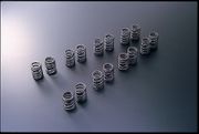 Tomei 13203R855 8.8mm Valve Springs A-Type Nissan R33 RB25DE(T)