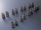 Tomei 173004 12.5mm Valve Springs A-Type Nissan 240SX SR20DET