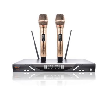 IDOLmain UHF-X3 Golden Phoenix Engraved Premium Dual Wireless Microphones Karaoke 
