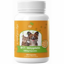 Apricot Power, B17/Amygdalin 100 mg for Pets, 100 Capsules Apricot Power, B17/Amygdalin 100 mg for Pets, 100 Capsules
