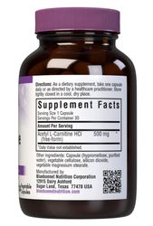 Acetyl L-Carnitine 500 mg Acetyl L-Carnitine 500 mg
