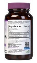Vegetarian Glucosamine Plus MSM Vegetarian Glucosamine Plus MSM