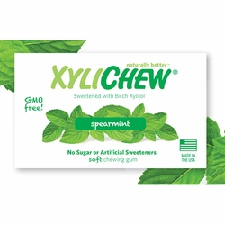 XyliChew Gum, Sugar Free Chewing Gum, Spearmint, 60 Pieces