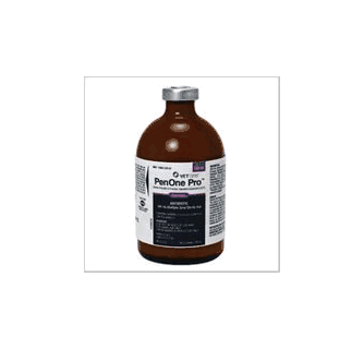 PenOne Pro  -  250 ml  