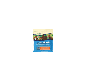 Bounce Back Multi-Species Electrolyte Supplement  -  4 lbs