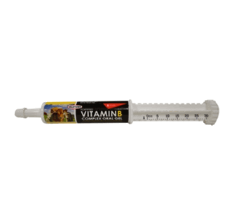 Fortified Vitamin B Complex Oral Gel, 30mL