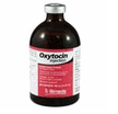 OXYTOCIN INJECTION 20 U/ML (RX) 100ML 