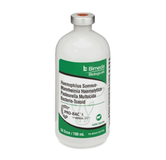 PRO-BAC 4  -  50 dose - 100 mL