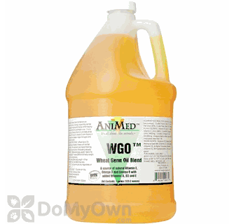 Wheat Germ Oil Blend  - gallon - ANIMED
