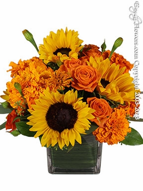 <div style="font-size:16px;">Anaheim Florist - Send Flowers to Anaheim, CA</div>