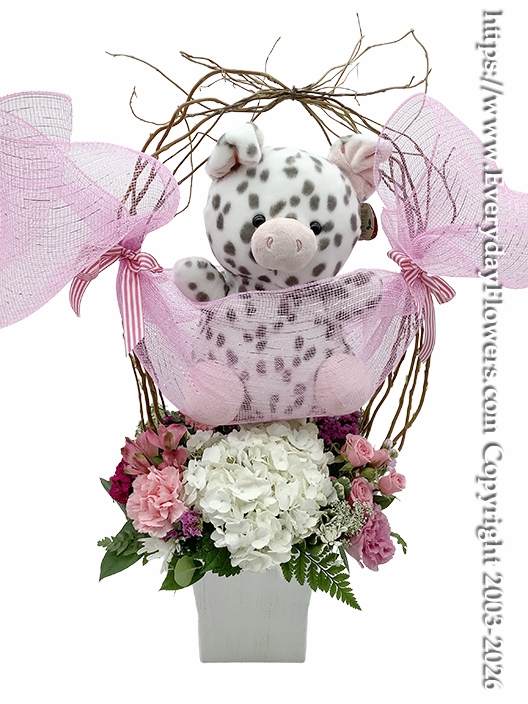 Baby Girl Flowers And Stuffed Animal