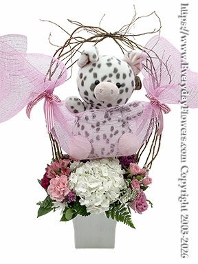 Baby Girl Flowers And Stuffed Animal