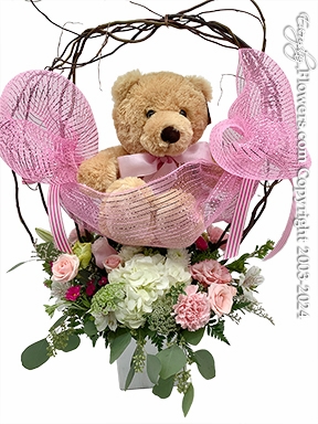 Baby Girl Flowers And Stuffed Animal