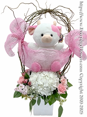 Baby Girl Flowers And Stuffed Animal