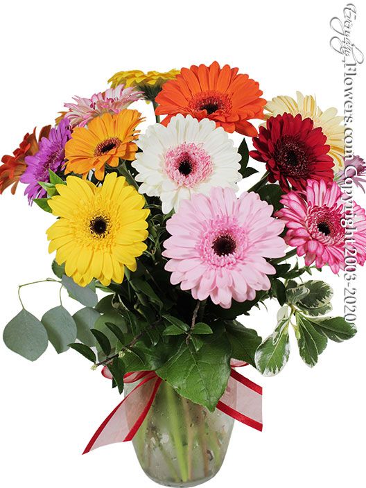 Mini Margarita Flower Arrangement Best Flower Site
