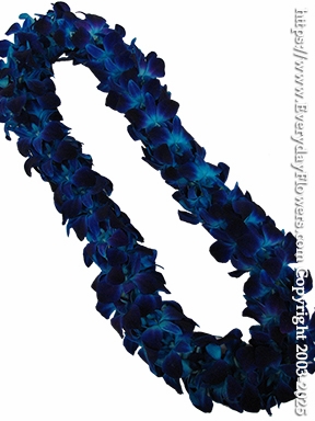 Blue Orchid Lei