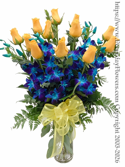 Blue & Yellow Roses