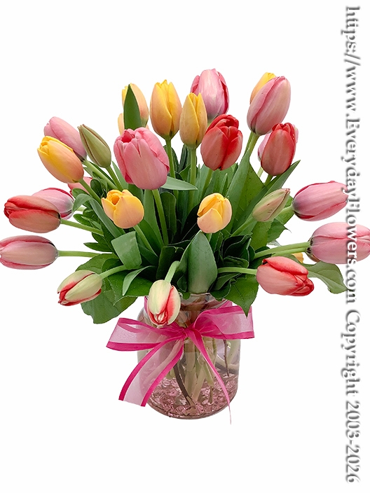 Bridgerton Tulips