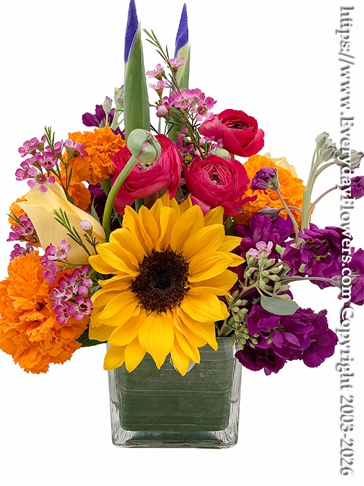 Bright and Cheery Flowers