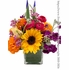 Bright and Cheery Flowers