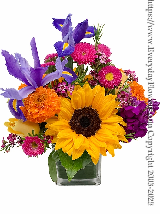 Bright and Cheery Flowers
