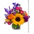 Bright and Cheery Flowers
