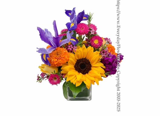 Bright and Cheery Flowers