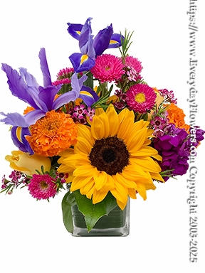 Bright and Cheery Flowers
