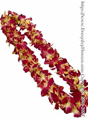 Burgundy & Gold Orchid Lei 