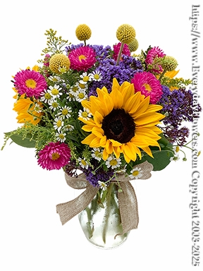 California Country Flowers