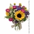 California Country Flowers