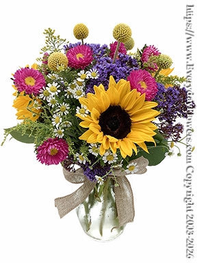 California Country Flowers