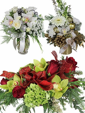 Christmas Flowers