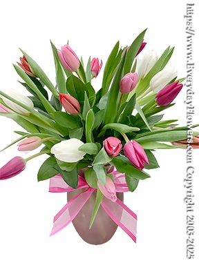 Cupids Tulips